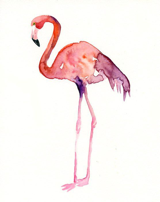 556x703 Flamingo Original Watercolor Painting 8x10inch(Vertical