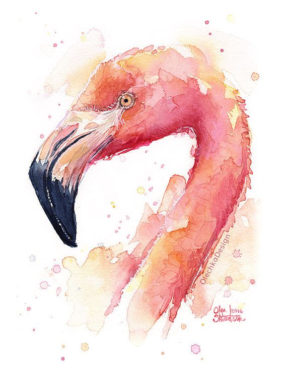 570x738 Flamingo Watercolor Painting, Flamingo Art Print, Pink Bird