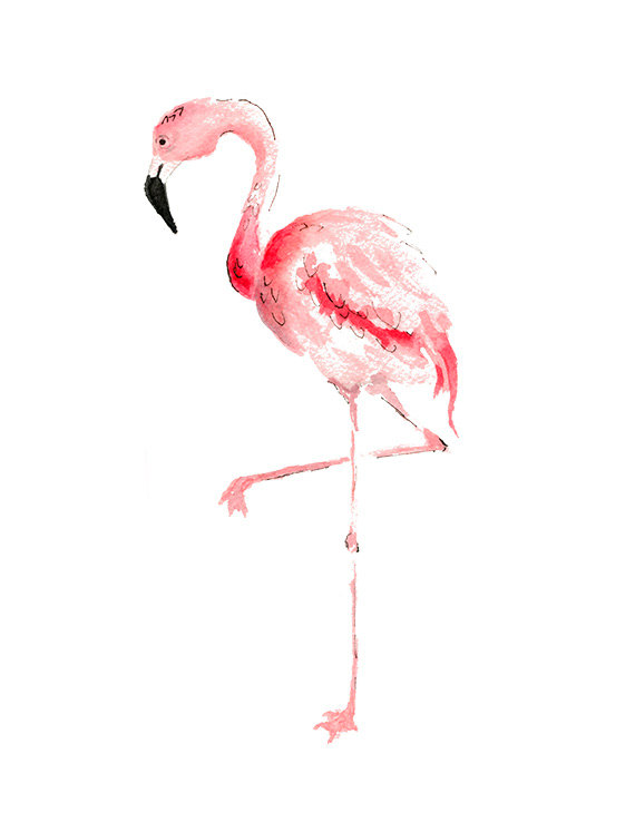570x738 Pink Flamingo Watercolor Painting Print, Flamingo Wall Art