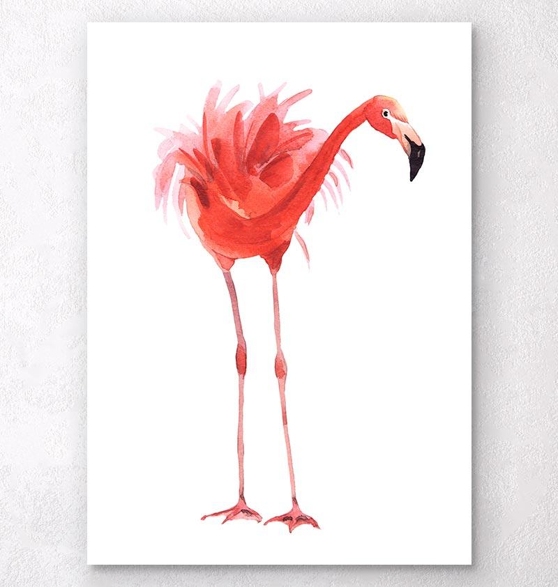 800x842 Flamingo