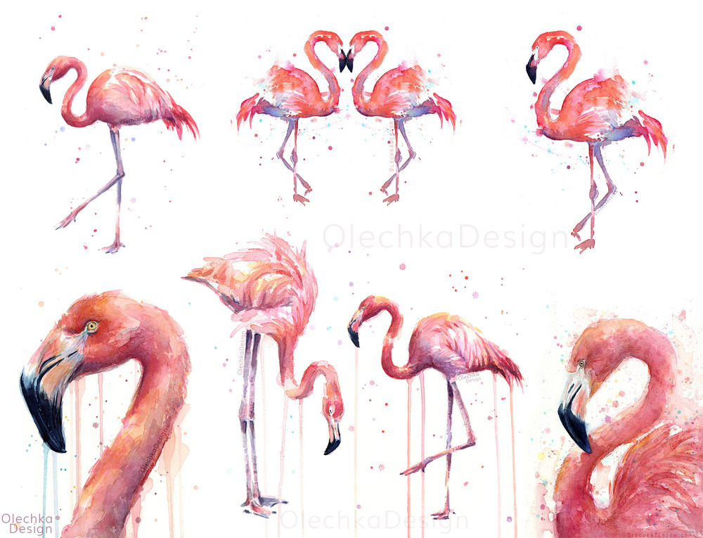 1000x765 Flamingo Art Olechka Design