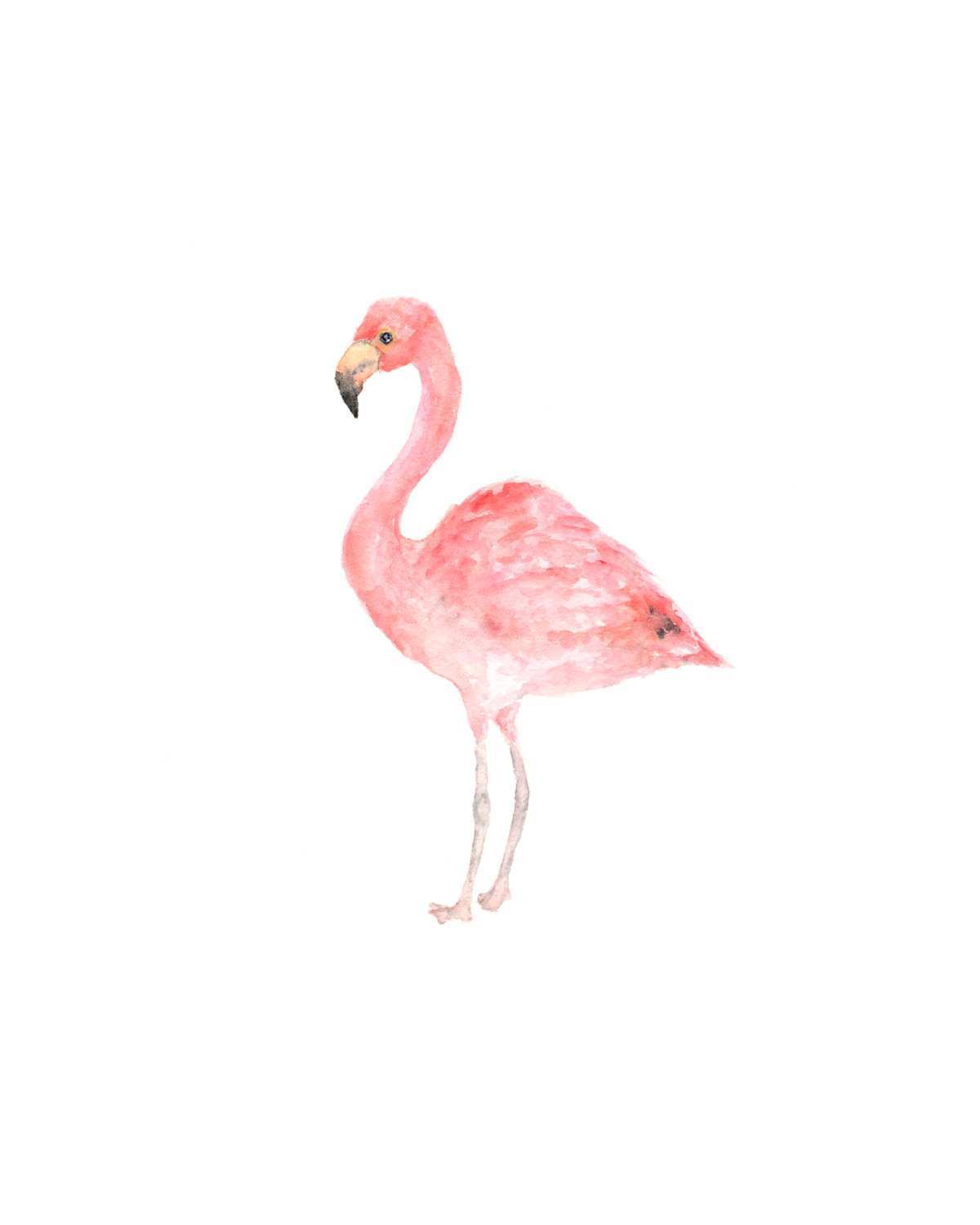 1200x1500 Flamingo Painting Fresh Watercolor Bird Bird Painting Watercolor