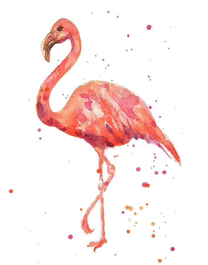 707x900 Flamingo Paintings Fine Art America