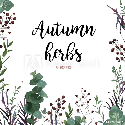 500x500 Vector Floral Watercolor Style Card Design Eucalyptus Seeded