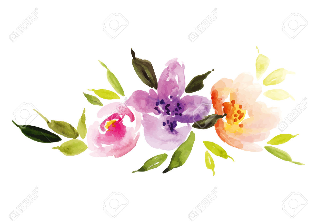 1300x910 Water Color Clipart Watercolor Floral