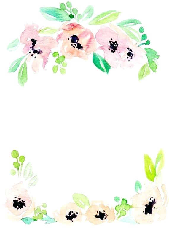 570x778 Floral Design Border