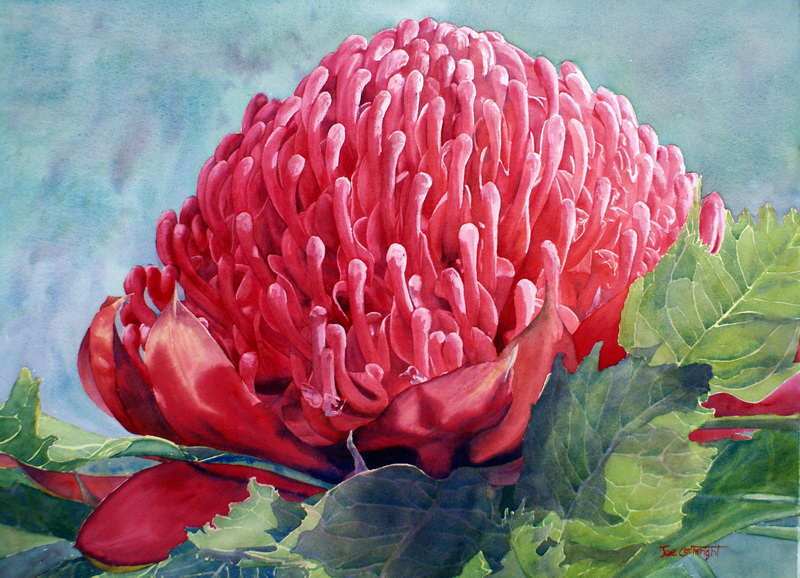 800x578 Watercolor Paintings Flowers Gallery.watercolour Flowers.