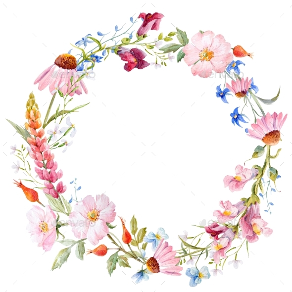 590x590 Watercolor Floral Wreath By Zenina Graphicriver