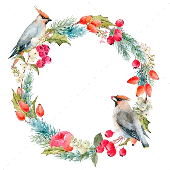 590x590 Watercolor Winter Christmas Floral Wreath By Zenina Graphicriver