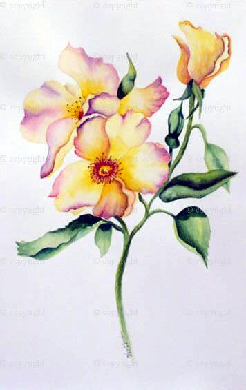 356x565 Floral Paintings