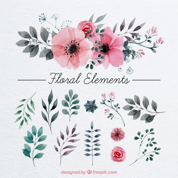 626x626 Flower Vectors, Photos And Psd Files Free Download