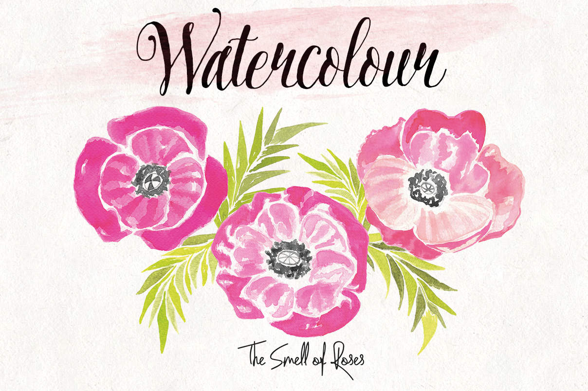 1208x804 Free Watercolor Poppies Clip Art