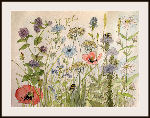 597x470 Garden Flower Illustration Botanical Watercolor Wildflowers Herbs