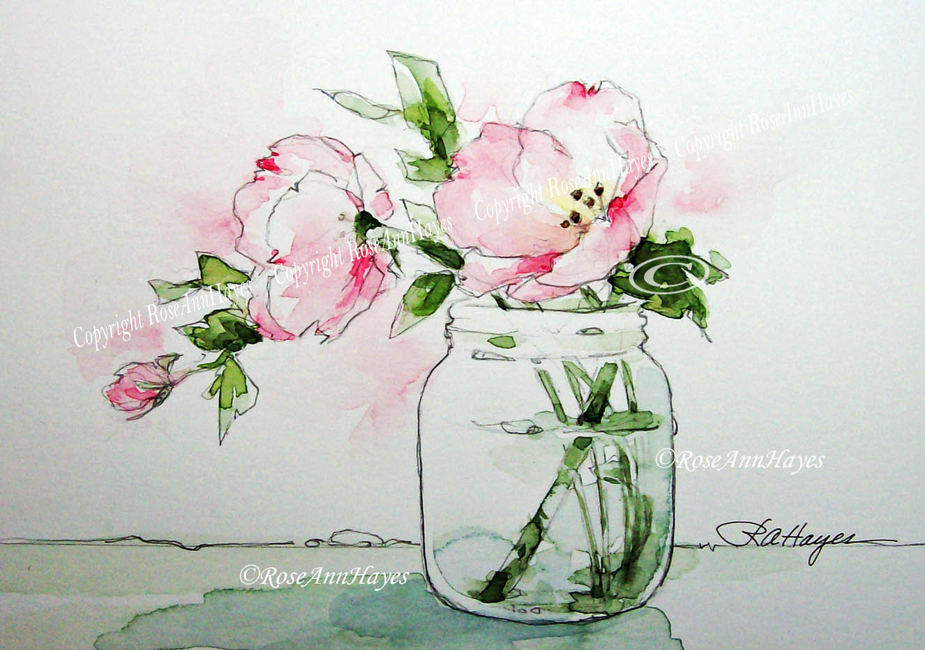 1326x932 Watercolor Paintings By Roseann Hayes Pink Evening Primrose