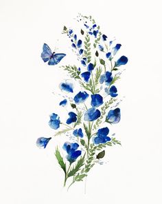236x296 Delphinium
