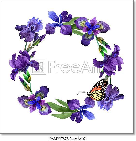 561x581 Free Art Print Of Wildflower Iris Flower Wreath In A Watercolor