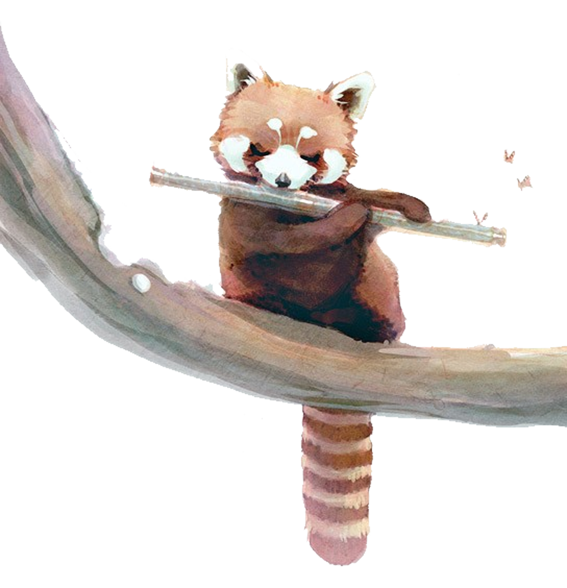 1890x1959 Red Panda Giant Panda Raccoon Watercolor Painting Squirrel