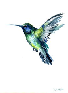 236x322 509 Best Art Watercolor Birds Images Watercolor