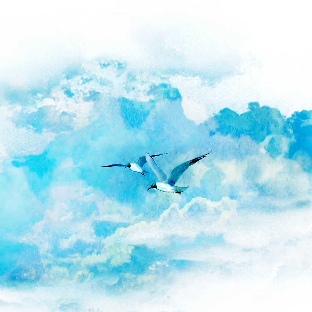 1000x1000 Flying Birds By Nadjaa Redbubble