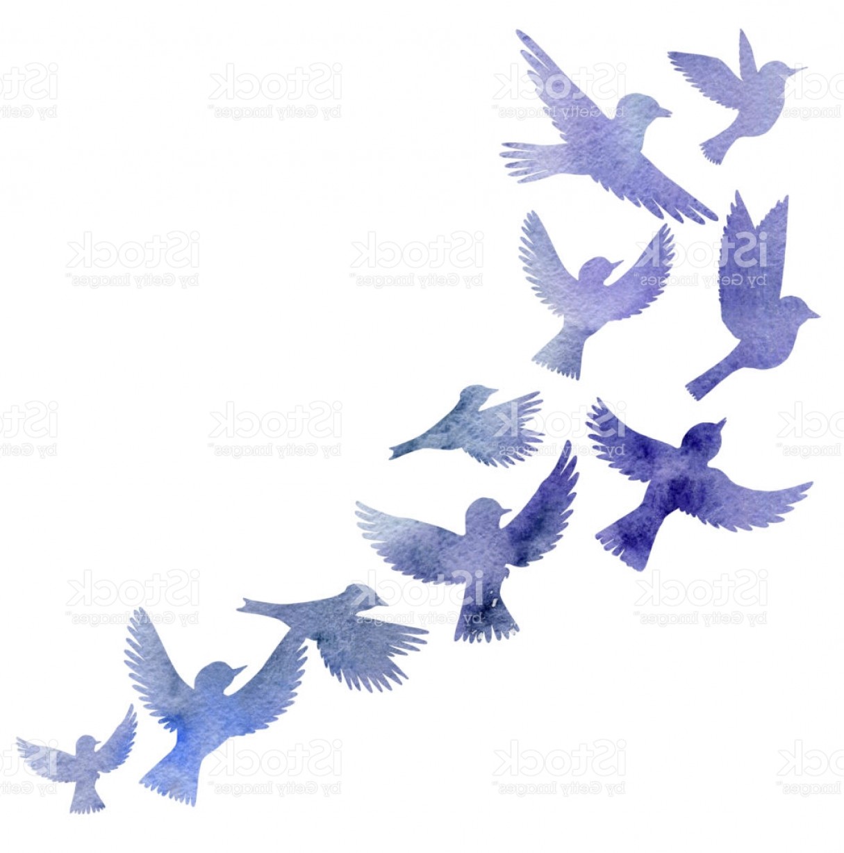 1215x1228 Watercolor Flying Birds Silhouettes Gm Createmepink