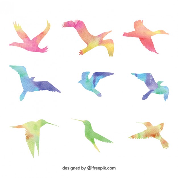 626x626 Watercolor Birds Vector Free Download