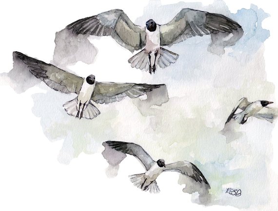 570x433 Bird Watercolor Painting Print From Original Watercolor Etsy