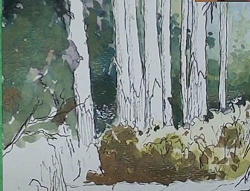 500x382 How To Paint Bluegum Trees In Forest In Watercolor Online Art