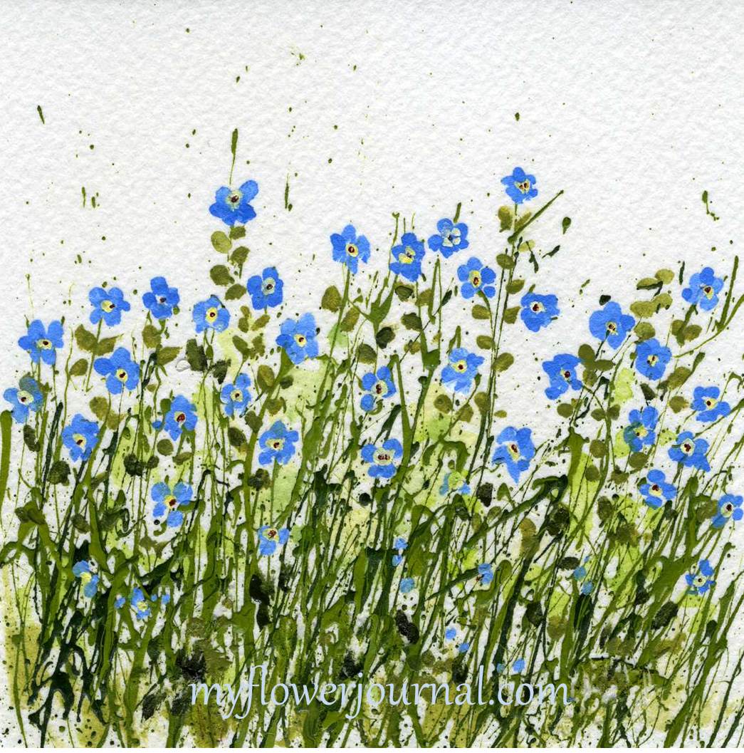 1045x1057 Forget Me Not Flower Art And Quote