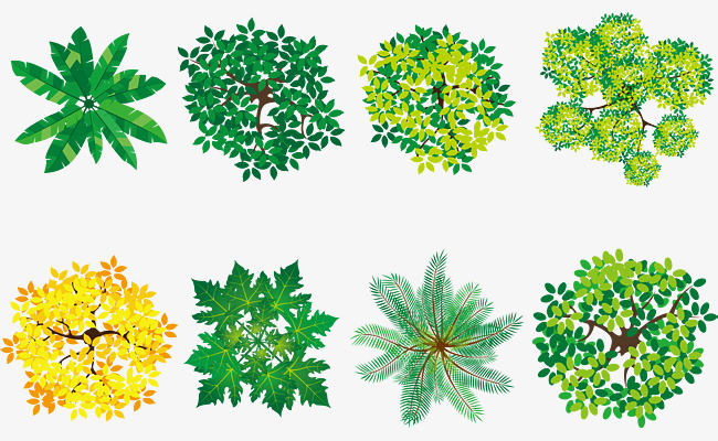 650x400 Watercolor Canopy Vector, Set, Four Seasons, Overlooking Png And