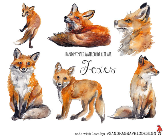 570x475 Fox Clip Art, Watercolor Fox Painted By Hand, Forest Animals Clip