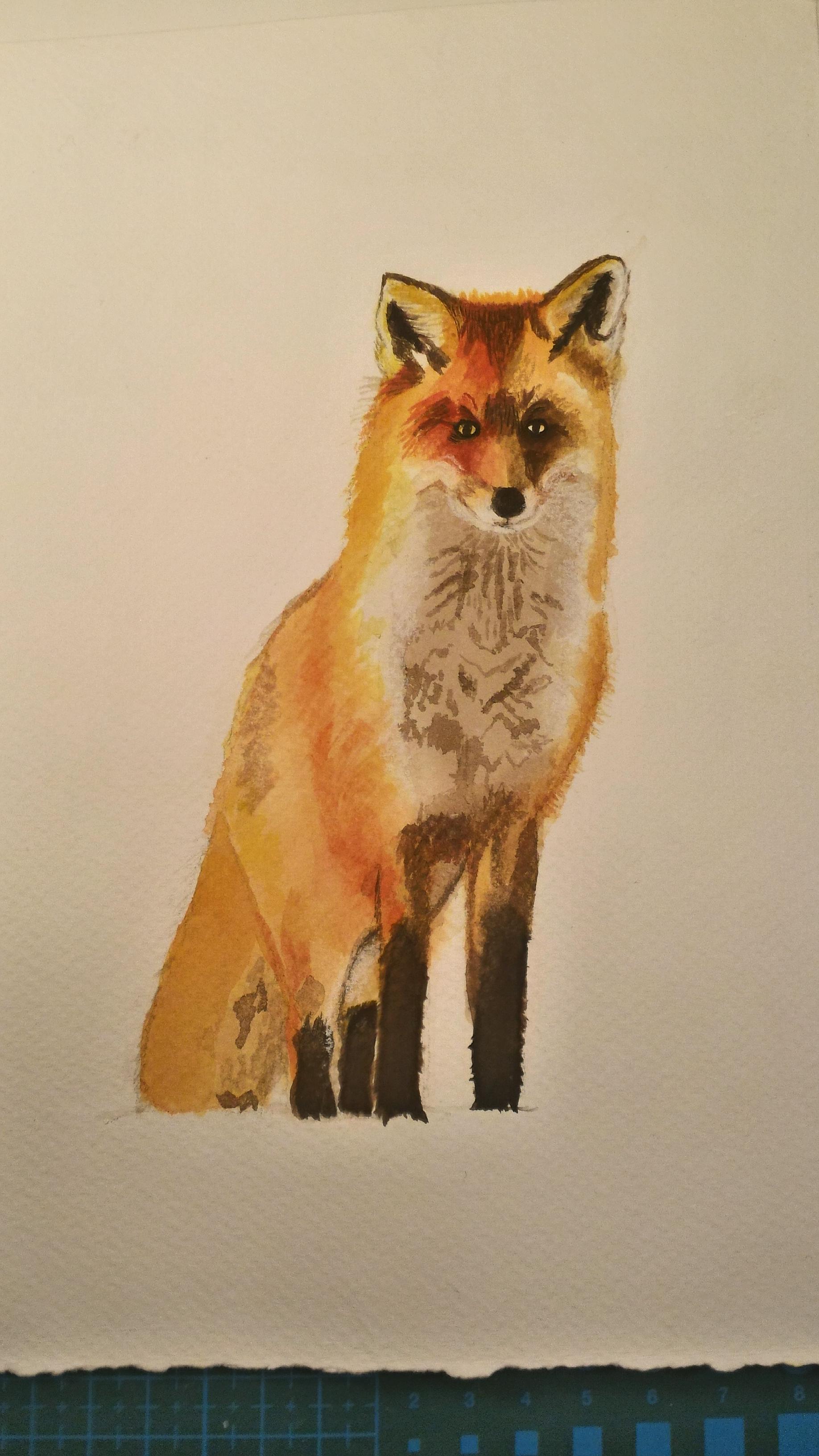1836x3264 My Watercolor Fox Painting ) Watercolor