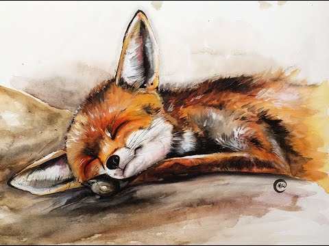480x360 Watercolor Baby Fox Painting Full Video Demonstration