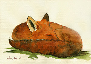 300x211 Fox Sleeping Painting Painting By Juan Bosco