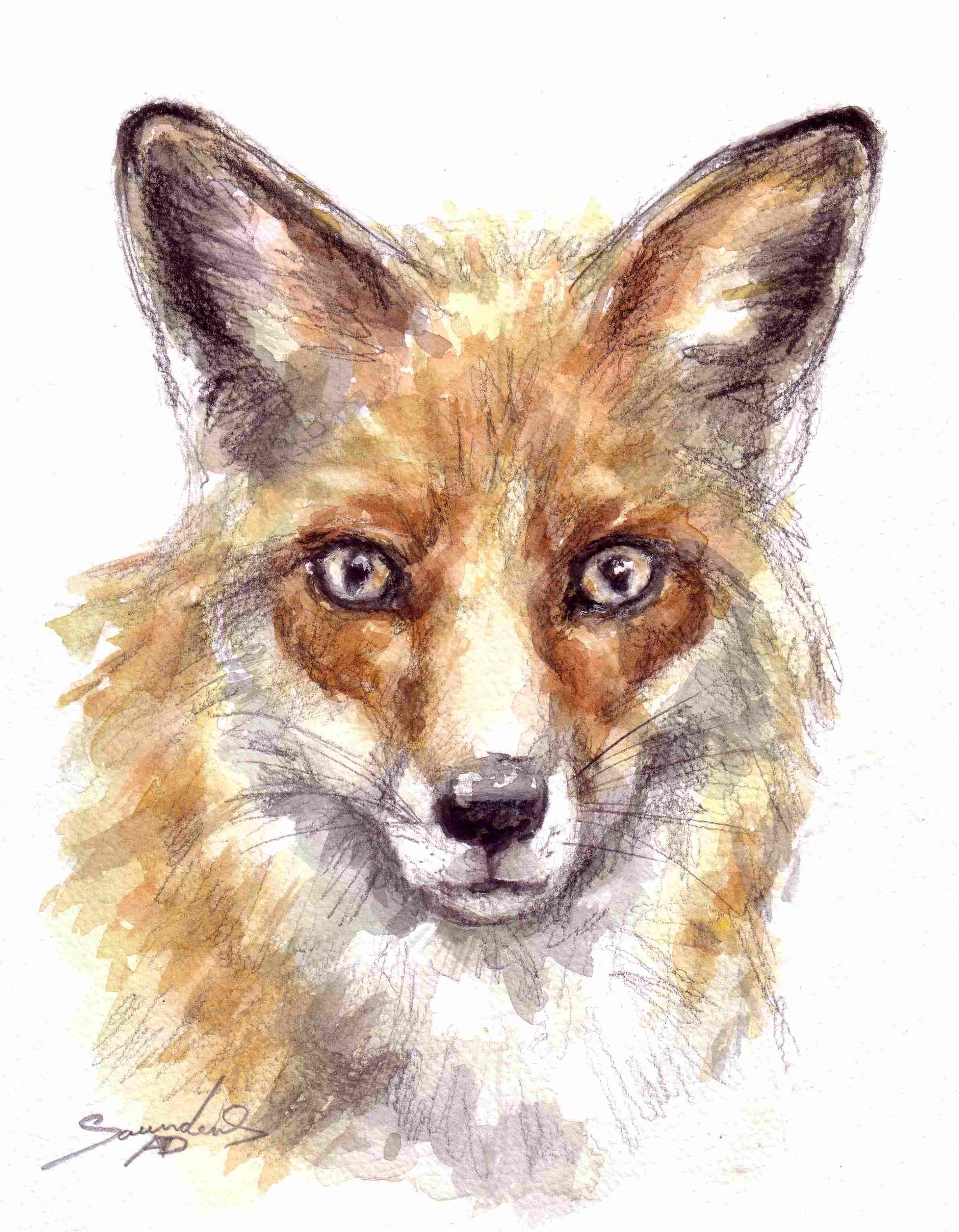 2335x3000 Fox Time Lapse Watercolor Painting