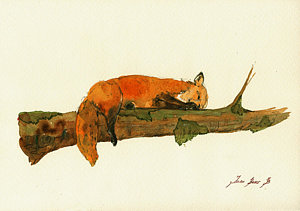 300x211 Fox Sleeping Painting Painting By Juan Bosco