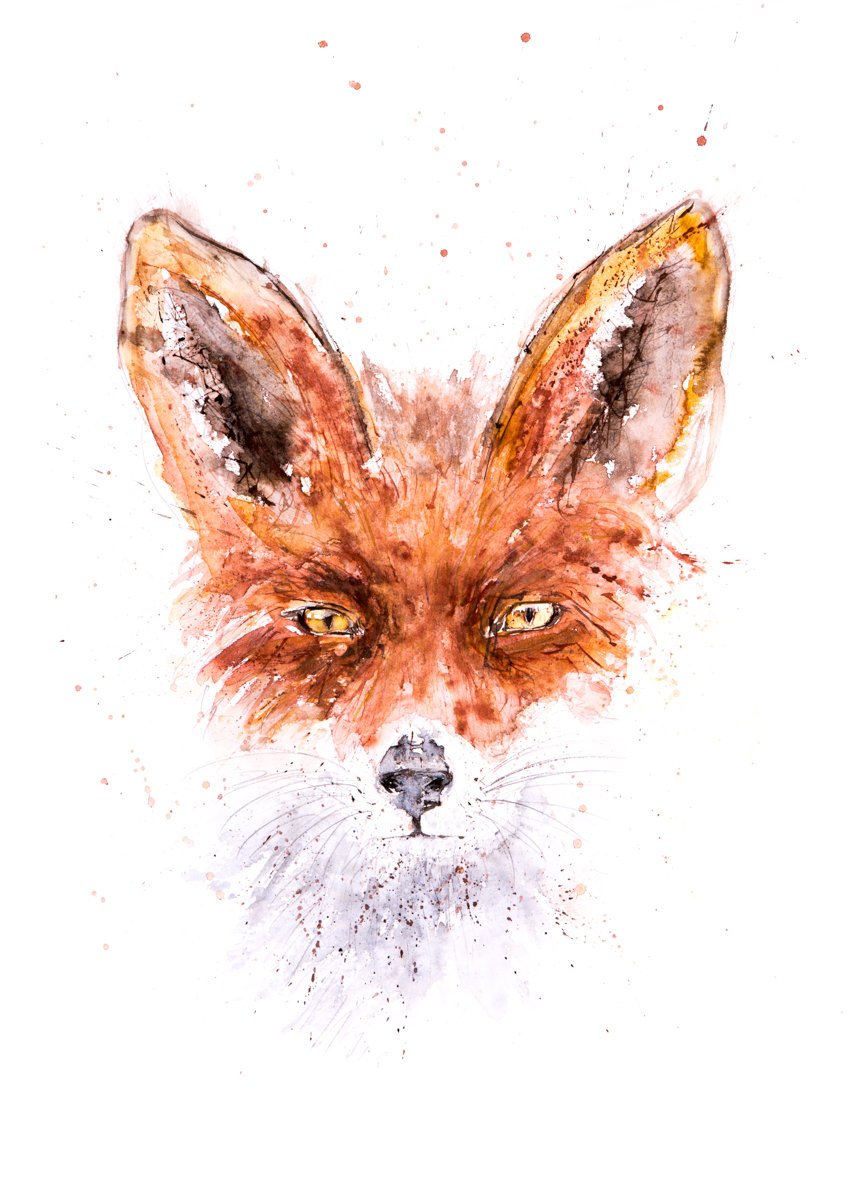849x1200 Fox Watercolor Painting