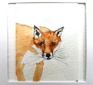 300x272 Original Watercolour Paintingmountedcardenvelope Red Fox 1 Ebay