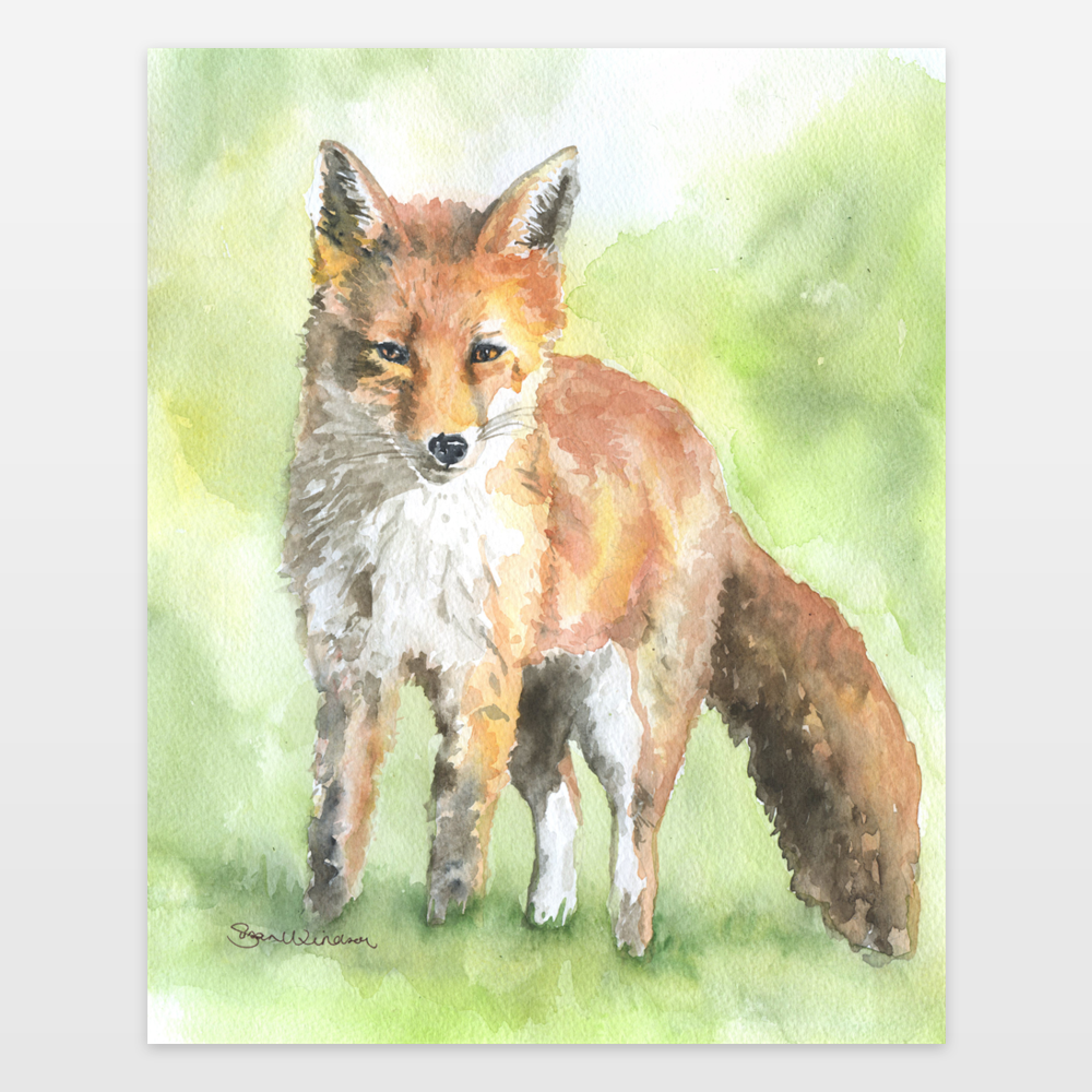 1000x1000 Red Fox Watercolor Painting Art Print By Susanwindsor On