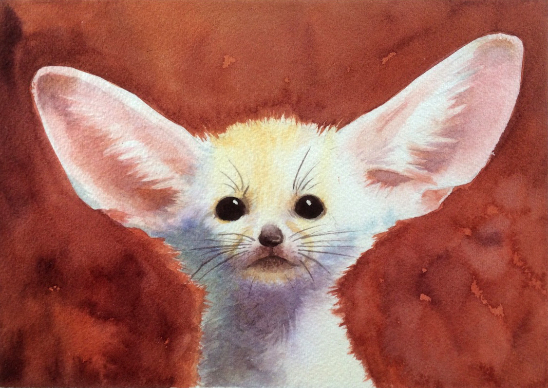 1125x797 Step By Step Painting Ideas Fuzzy Fennec Fox Illustration