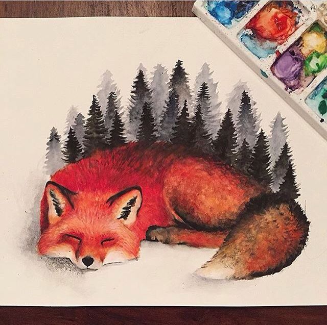 640x637 Watercolor Fox Art In 2018 Watercolor Fox, Foxes