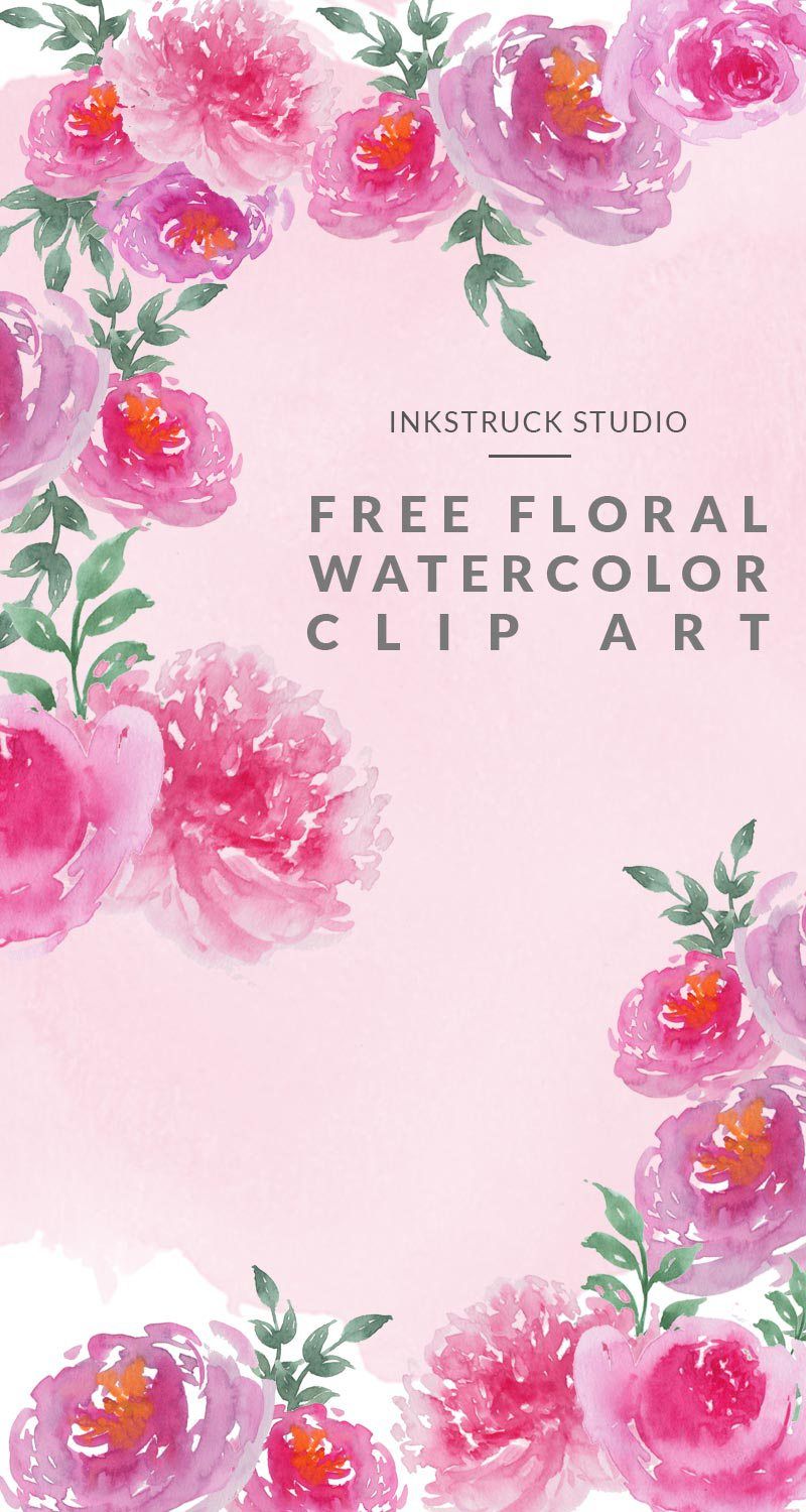 800x1500 Free Watercolor Floral Clip Art Graphic Freebies