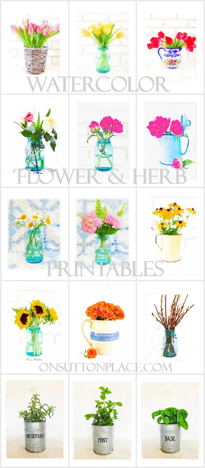 700x1600 Watercolor Printable Series Flowers Amp Herbs