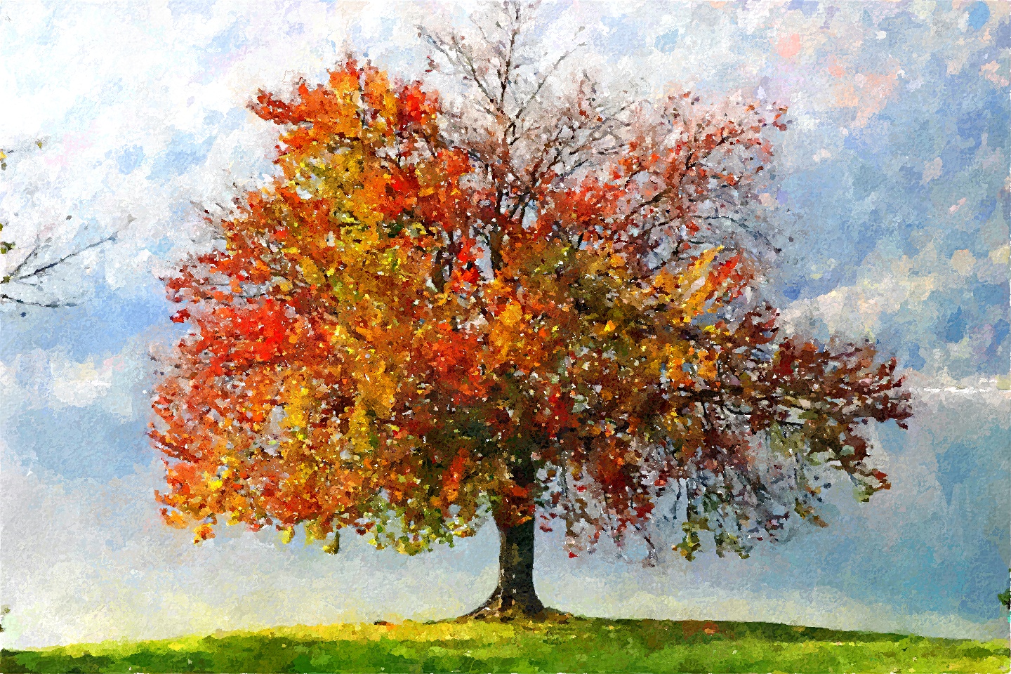 1440x960 Fotosketcher