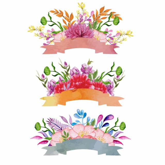640x640 Watercolor Floral Amp Ribbon Design, Ribbon, Watercolor, Art Png And