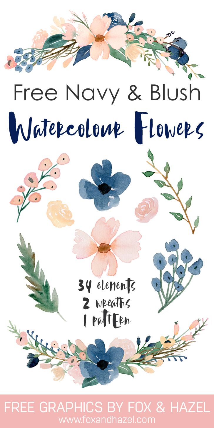 728x1456 Beautiful Free Watercolor Flowers