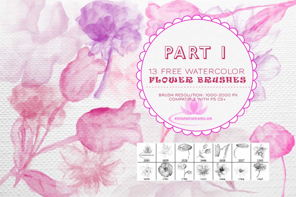 1000x667 13 Free Watercolor Flower Brushes For Photoshop By Fiftyfivepixels