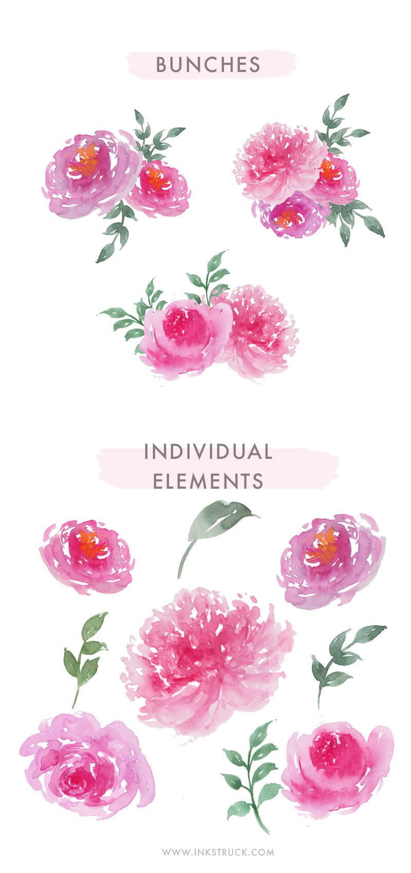 800x1697 Free Watercolor Floral Clip Art