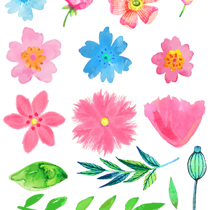 210x210 Free Watercolor Flower Clipart
