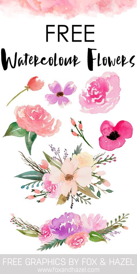 474x948 Free Watercolor Flower Graphics From Watercolor Clipart Free