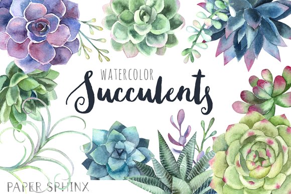 580x386 Watercolor Clipart Free Download Succulents